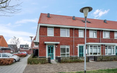 Leeuw 1