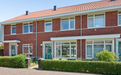 Leeuw 13
