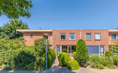 Goudreinet 34