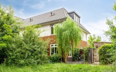 Fluweelboom. 6