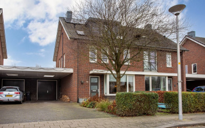 Paardenbloem 74