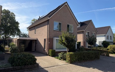de Timp 6
