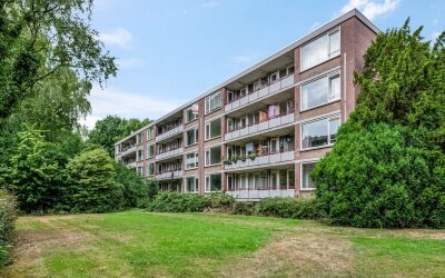 Mennonieten. 17