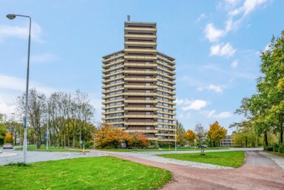 Thorbeckestraat 244