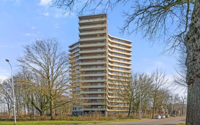 Albardaweg 155