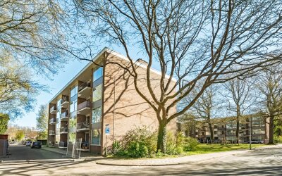 Eykmanstraat 4-I