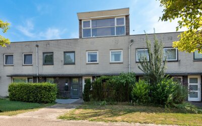 Pad van Jip en Janneke 8