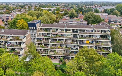 Sint Hubertus 348
