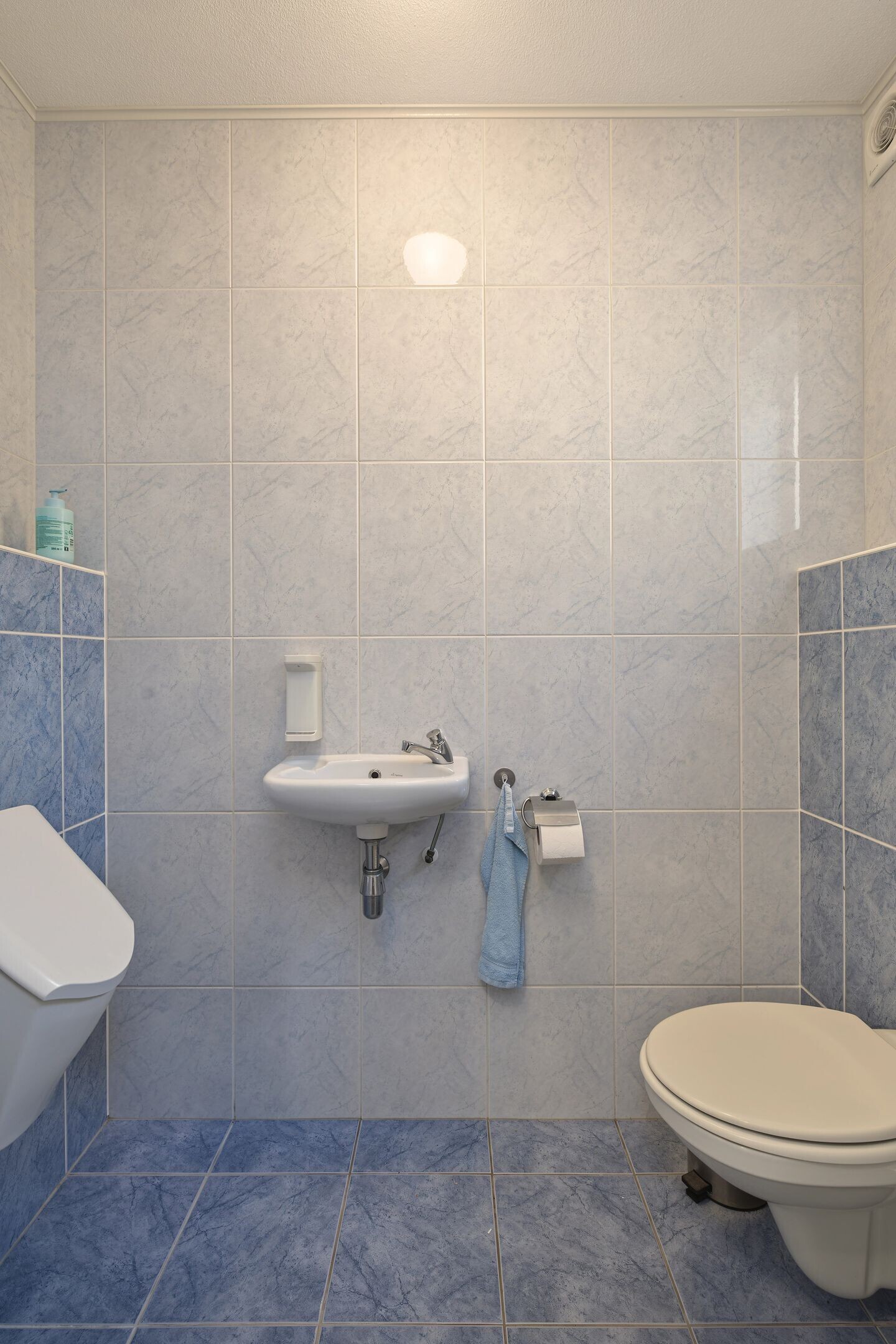 Vrijstaande woning te koop: Hakselseweg 99, Ede