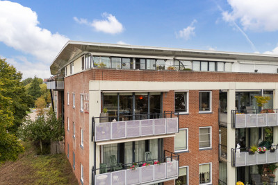 Dubčeksingel 142