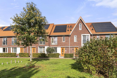 Rietveen 6