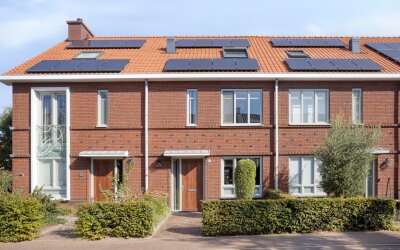 Bosveen 20