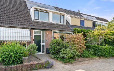 Boterbloem 25