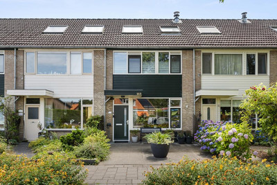 Molenstraat 113