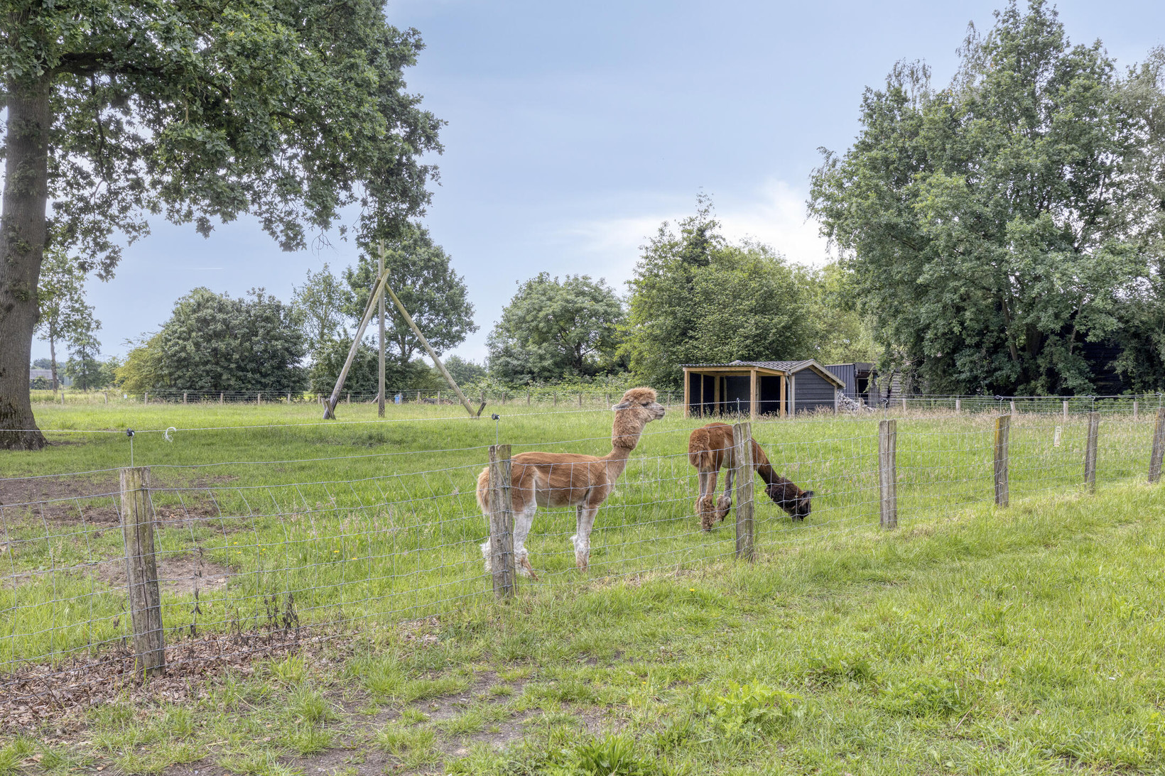 Appartement te koop: Hulweg 51B, Lunteren