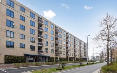Ir J.P. van Muijlwijkstraat 336