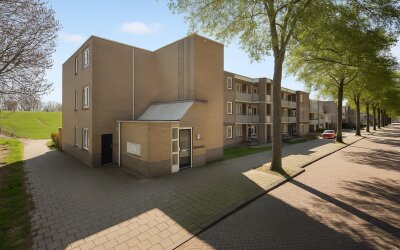 Sterappelga. 206