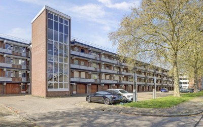 Orionsingel 240