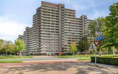 Groningensingel 597