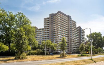 Groningensingel 799