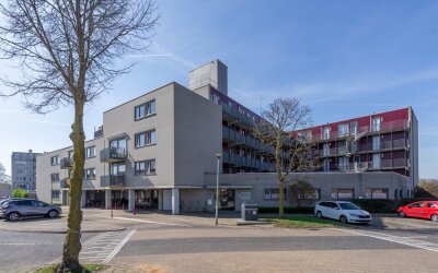 Dr. Willem. 245