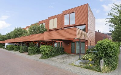 Zenegroen 16