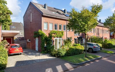 Zenegroen 54