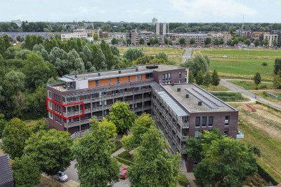 Koningskers 110
