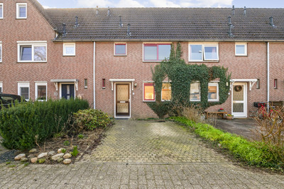 Gravekamp 8