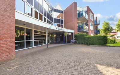 Goudreinet 63