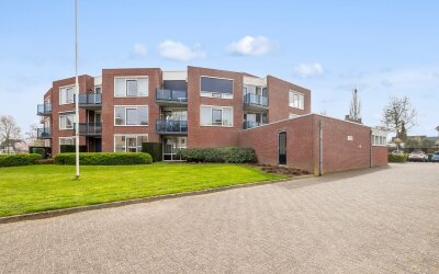 Goudreinet 79