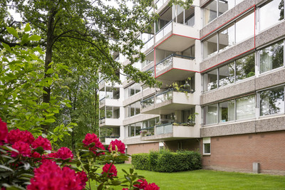 Kapelleboom 17