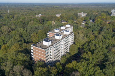 Kapelleboom 66