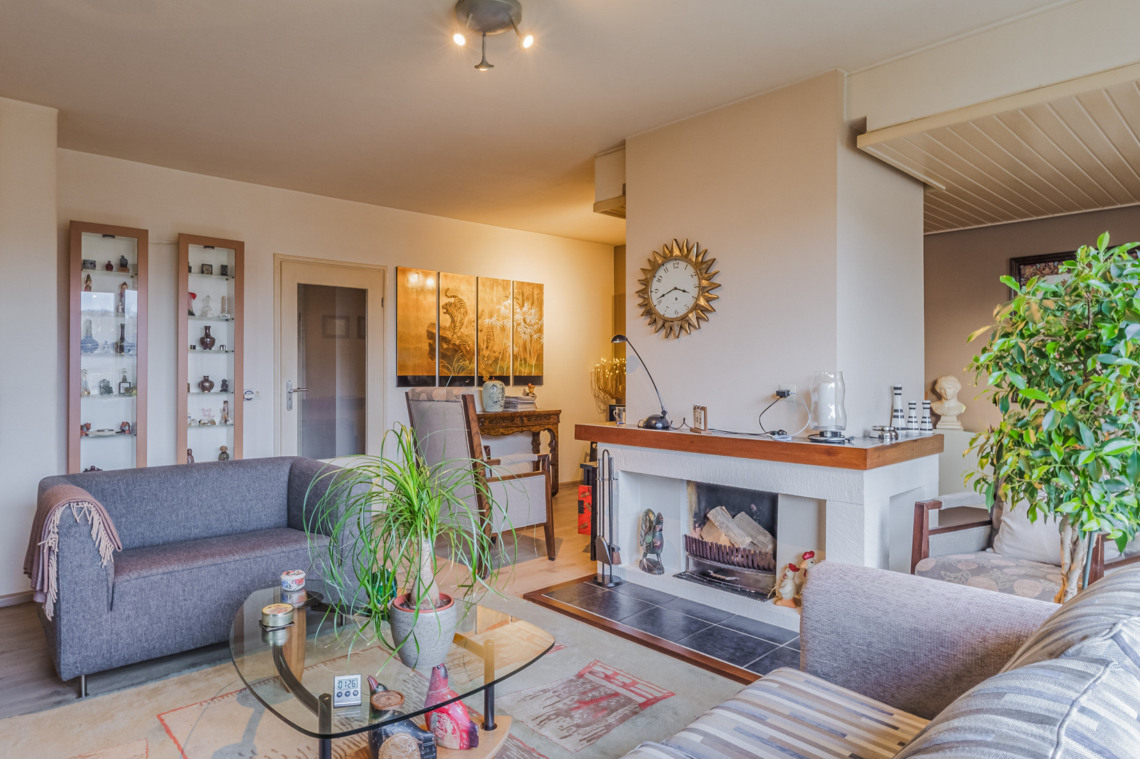 Appartement te koop: Heemskerklaan 16, Velp