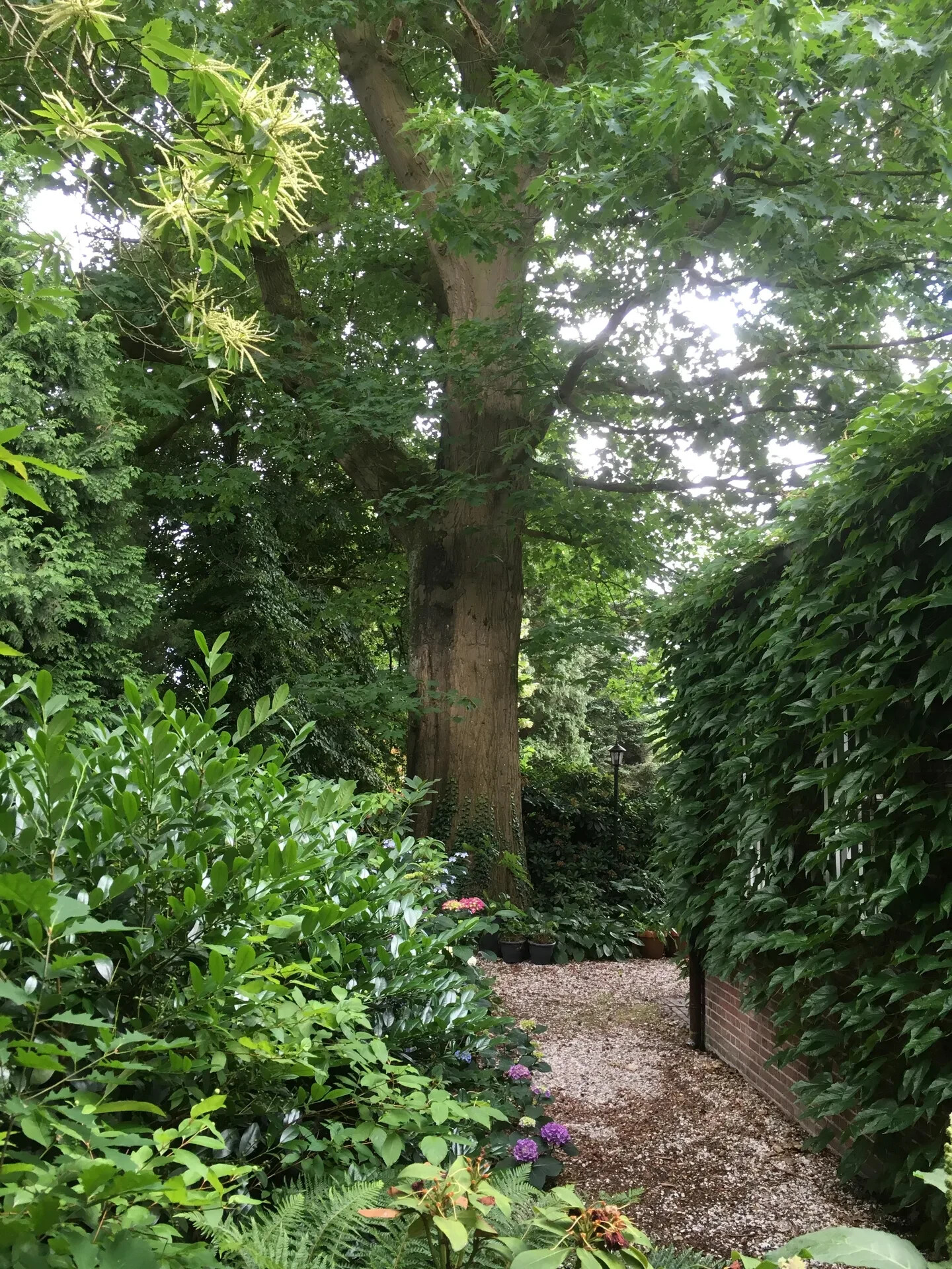 Vrijstaande woning te koop: Zutphensestraatweg 7, Velp