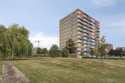 Aalscholversingel 56