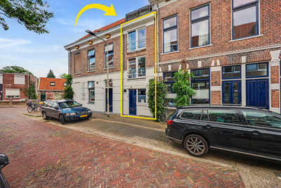 Aalscholver. 120