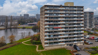 Aalscholver. 386