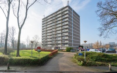 Aalscholver. 434