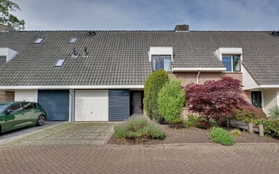 Zonegge 22 10