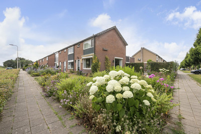 Jan van Kle. 10