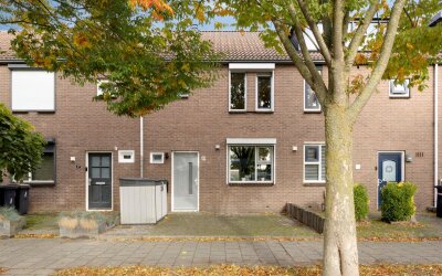 Spotvogelstraat 49