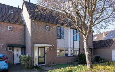 Steenstraat 41