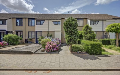 Potterstraat 35