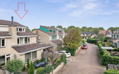 Bosboomstra. 6