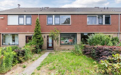Treubstraat 66