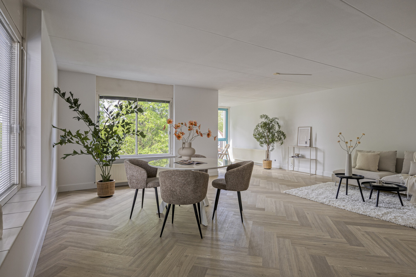 Appartement te koop: Pasteurstraat 1, Dieren