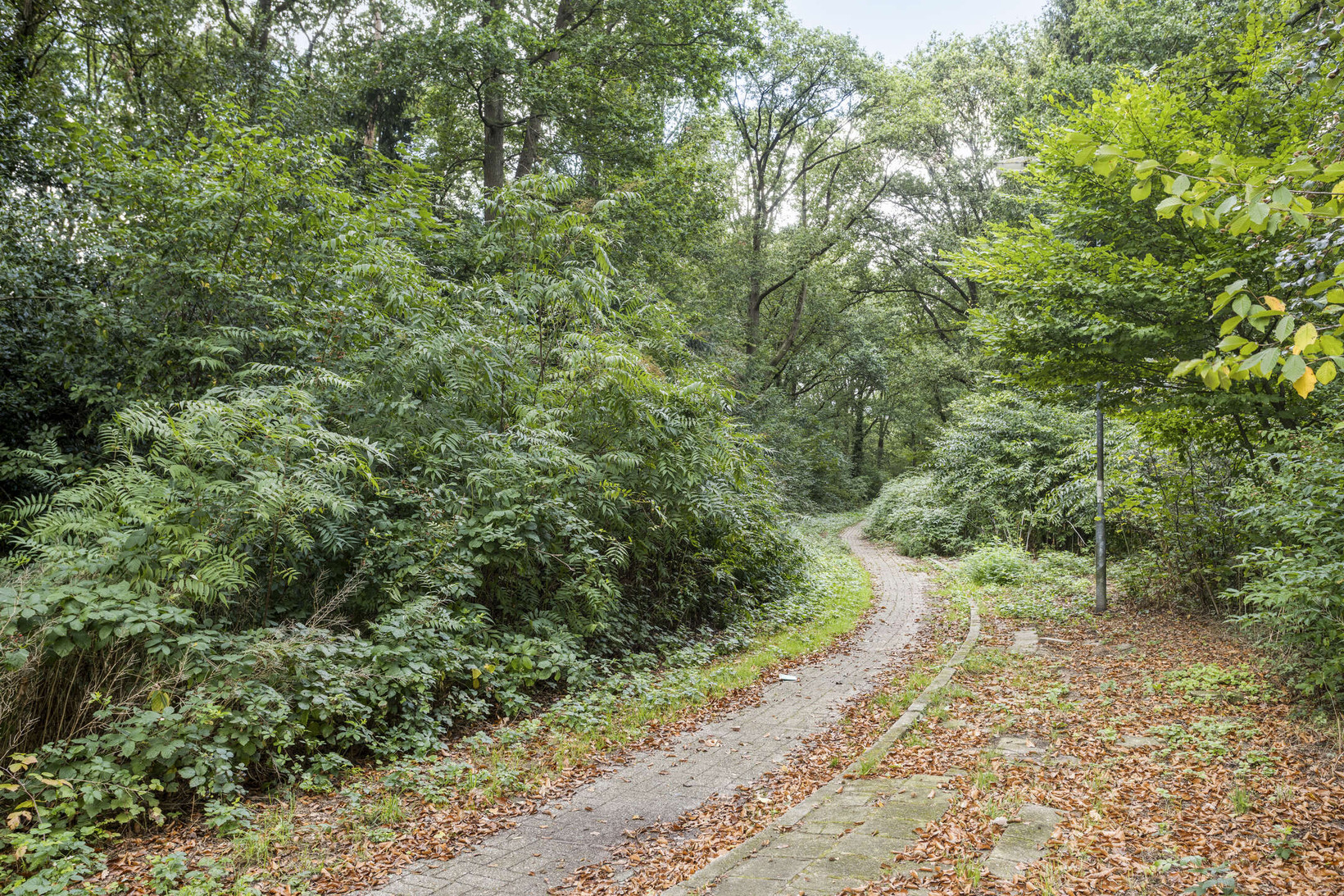 Appartement te koop: Vogelplantsoen 242, Dieren