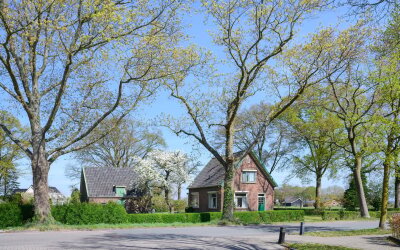 Ringlaan 21