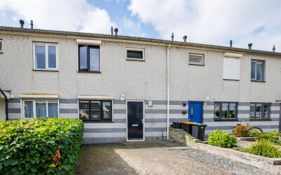 Kamilleveld 55